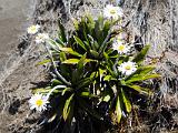 J Tongariro 044